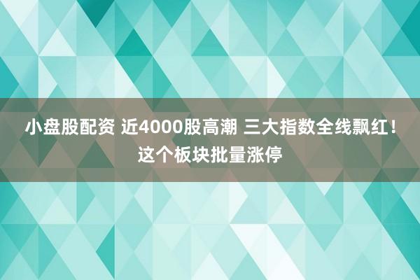 小盘股配资 近4000股高潮 三大指数全线飘红！这个板块批量涨停