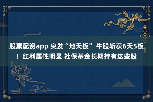 股票配资app 突发“地天板” 牛股斩获6天5板！红利属性明显 社保基金长期持有这些股