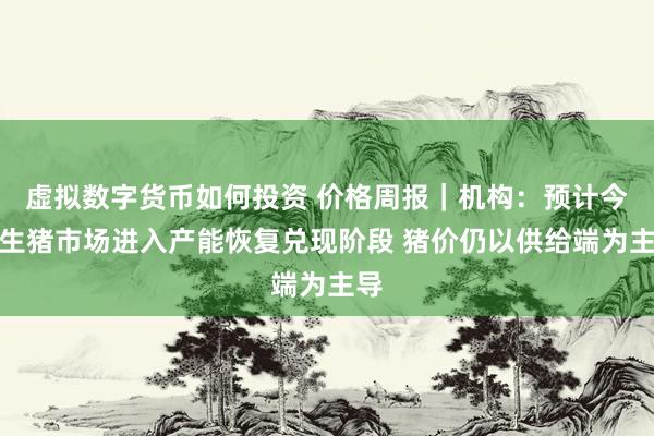 虚拟数字货币如何投资 价格周报｜机构：预计今年生猪市场进入产能恢复兑现阶段 猪价仍以供给端为主导