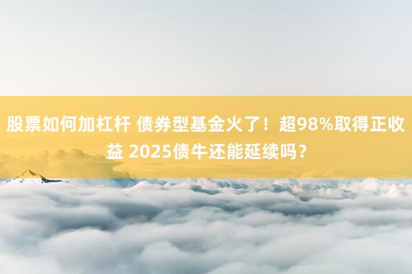 股票如何加杠杆 债券型基金火了！超98%取得正收益 2025债牛还能延续吗？