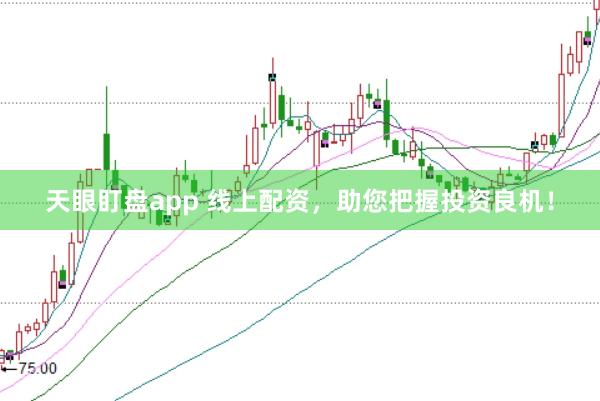天眼盯盘app 线上配资，助您把握投资良机！