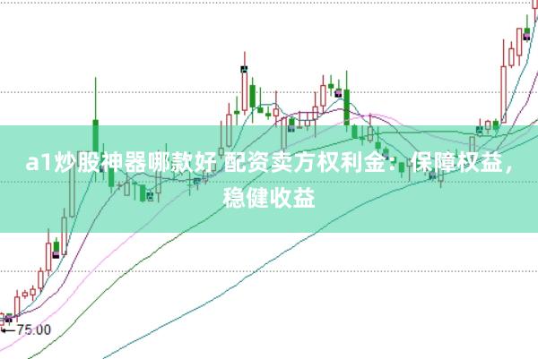 a1炒股神器哪款好 配资卖方权利金：保障权益，稳健收益