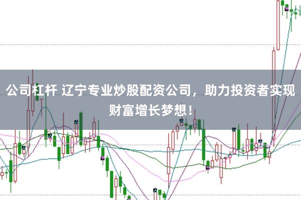 公司杠杆 辽宁专业炒股配资公司，助力投资者实现财富增长梦想！