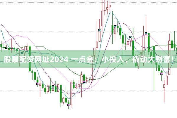 股票配资网址2024 一点金：小投入，撬动大财富！