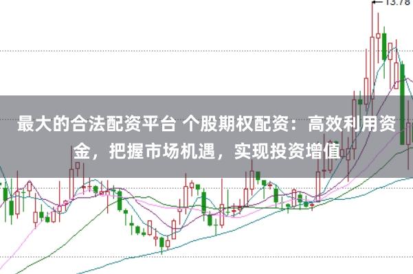 最大的合法配资平台 个股期权配资：高效利用资金，把握市场机遇，实现投资增值