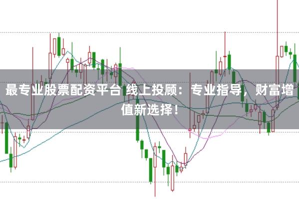最专业股票配资平台 线上投顾：专业指导，财富增值新选择！