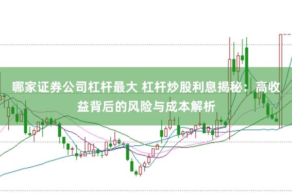 哪家证券公司杠杆最大 杠杆炒股利息揭秘：高收益背后的风险与成本解析