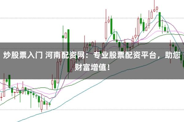 炒股票入门 河南配资网：专业股票配资平台，助您财富增值！