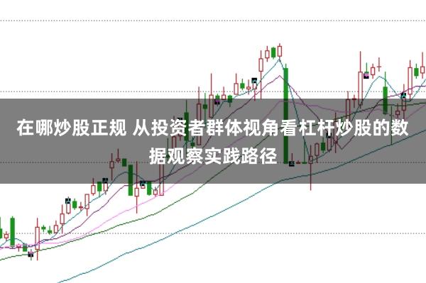 在哪炒股正规 从投资者群体视角看杠杆炒股的数据观察实践路径