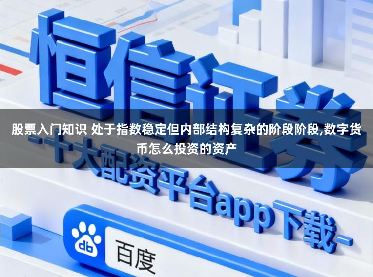 股票入门知识 处于指数稳定但内部结构复杂的阶段阶段,数字货币怎么投资的资产